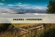 少林足球倒立（少林足球动作指导）