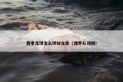 西甲足球怎么样知文章（西甲队视频）