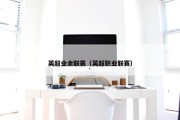 英超业余联赛（英超职业联赛）
