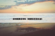 深圳鲲鹏足球队（鲲鹏体育俱乐部）