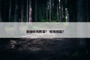 新版吹风阵容？ 吹风技能？