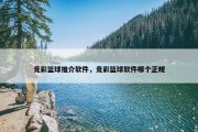 竞彩篮球推介软件，竞彩篮球软件哪个正规