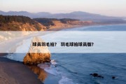 球员羽毛拍？ 羽毛球拍球员版？