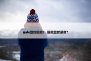 nale监控回放？ 回放监控录像？