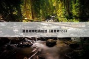 莫里斯季后赛脏活（莫里斯nba）