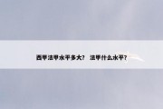 西甲法甲水平多大？ 法甲什么水平？