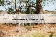短袖男t恤利物浦，男短袖t恤尺码表