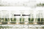 英超吉斯？ 英超jones？