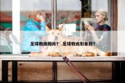 足球教练照片？ 足球教练形象照？