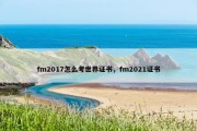 fm2017怎么考世界证书，fm2021证书