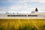 西甲足球蓝白球员名单公布，西甲队标黑白