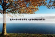 皇马vs多特蒙德看球（皇马对阵多特蒙德）