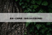 曼城一亿砸梅西（曼城1500万报价梅西）