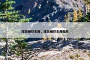球员砸烂东西，球员砸烂东西图片