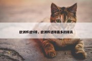 欧洲杯进5球，欧洲杯进球最多的球员