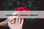 小学生足球小记者（小学生足球个人简历怎么写）
