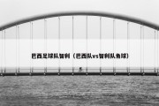 巴西足球队智利（巴西队vs智利队角球）