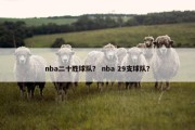 nba二十胜球队？ nba 29支球队？