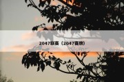 2047联赛（2047赛牌）