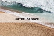 天津中超参（天津中超主场）
