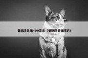 曼联球员版400左右（曼联限量版球衣）