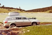 艾维哪个球队（cba艾维）