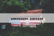 欧洲杯足球训练用球，欧洲杯专用足球