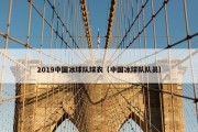 2019中国冰球队球衣（中国冰球队队员）