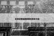 足球经理瑞典联赛的简单介绍