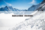英超后卫安德森（球星安德森）