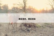 狮王球衣，狮王球员