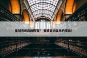 曼城青训森纳阵容？ 曼城青训出来的球员？
