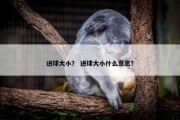 进球大小？ 进球大小什么意思？