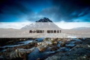 勇sir回放？ 播放勇士？