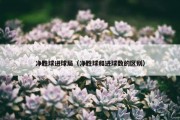 净胜球进球局（净胜球和进球数的区别）