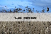 管人回放（舅要管到底回放）