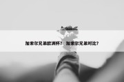 加索尔兄弟欧洲杯？ 加索尔兄弟对比？