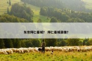东京拜仁曼城？ 拜仁曼城录像？