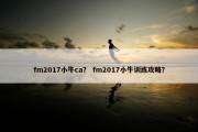 fm2017小牛ca？ fm2017小牛训练攻略？