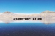 山东足球队干架事件（山东 足球）