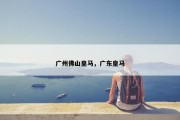 广州佛山皇马，广东皇马
