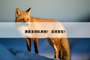满意足球队表现？ 足球意见？