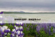 深圳球队篮球？ 深圳篮球cba？