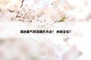 森纳最气球员图片大全？ 纳森全名？