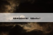 马刺季后赛米尔斯？ 马刺miller？