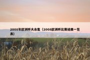 2008年欧洲杯大合集（2008欧洲杯比赛结果一览表）