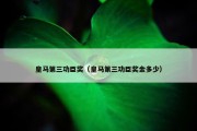 皇马第三功臣奖（皇马第三功臣奖金多少）