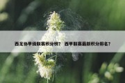 西足协甲级联赛积分榜？ 西甲联赛最新积分排名？