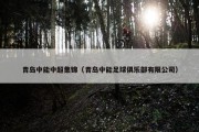 青岛中能中超集锦（青岛中能足球俱乐部有限公司）