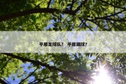 平原足球队？ 平原踢球？